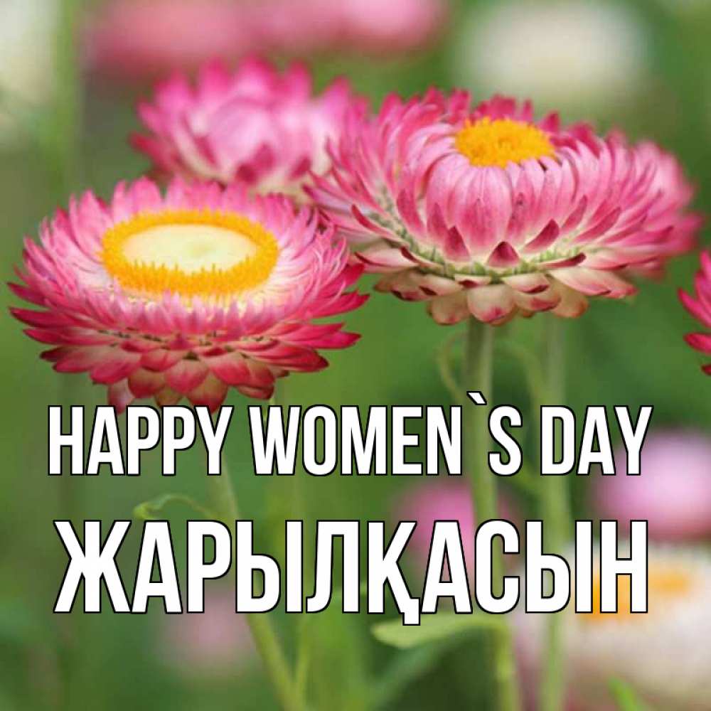 Greetings card с именем, Жарылқасын happy women`s day подарок на международный женский день Greetings with text for free download 